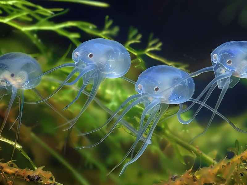 哪些生活常识可以用生物来解释（哪些生活常识可以用生物来解释呢）