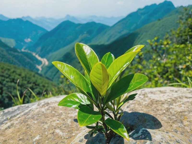 狐狸和公山羊生活常识 - 狐狸和公山羊生活经验和生活常识