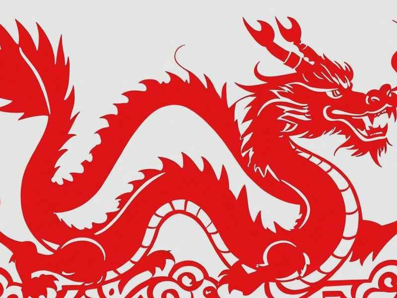 小龙知识科普，小龙知识科普视频大全