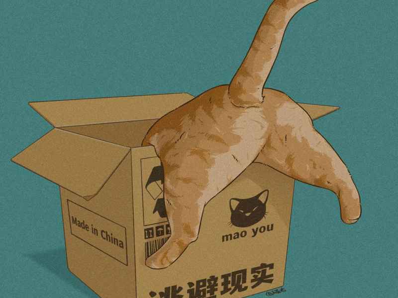 好多生活常识不懂 知乎，好多生活常识不懂 知乎的人