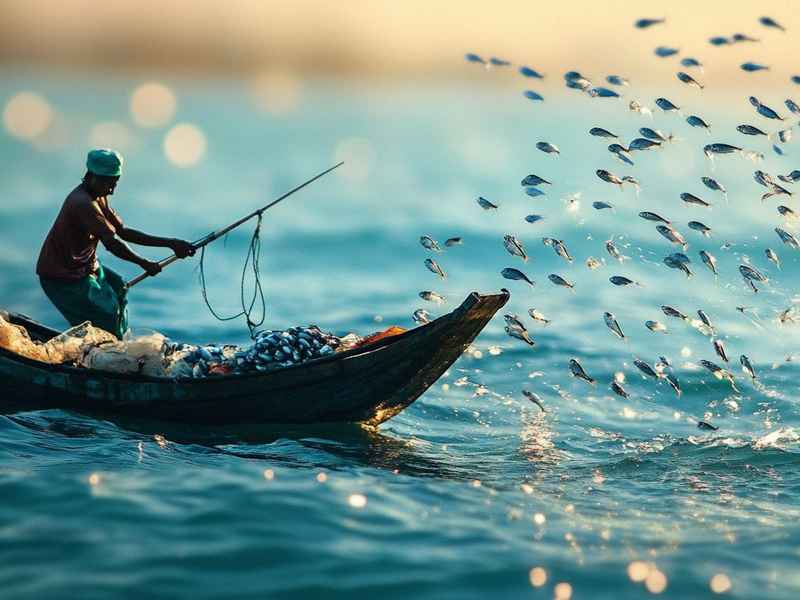 在海上生活 - 在海上生活的人