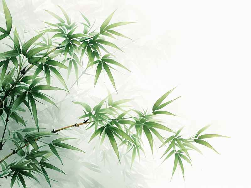 生活哲理名言名句，生活哲理名言名句摘抄